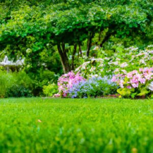 les-meilleures-astuces-pour-entretenir-votre-jardin-et-obtenir-un-espace-impeccable