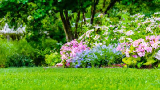 les-meilleures-astuces-pour-entretenir-votre-jardin-et-obtenir-un-espace-impeccable